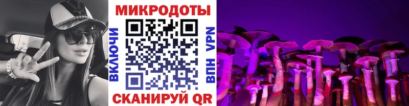Псилоцибиновые грибы Cubensis Волоколамск